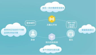 互聯網信息服務的演進與影響